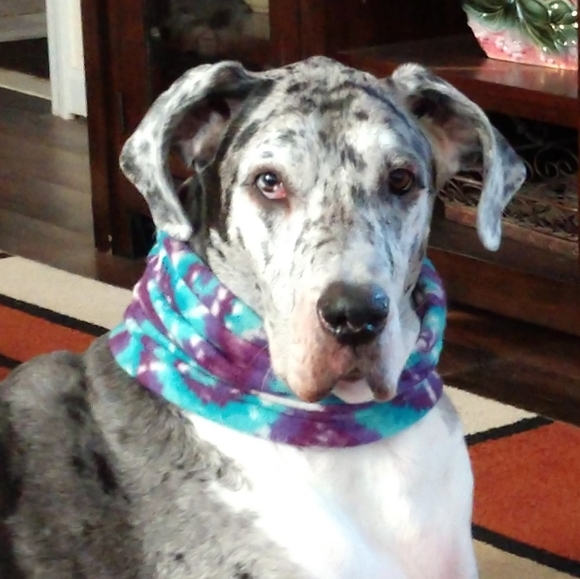 Meet your Posher, Karen - Picture 2 of 8